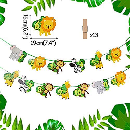 LaVenty Jungle Gold Monthly Photo Banner Wild One Monthly Photo Banner Safari First Birthday Banner Monthly Photo Banner Zoo Jungle Banner