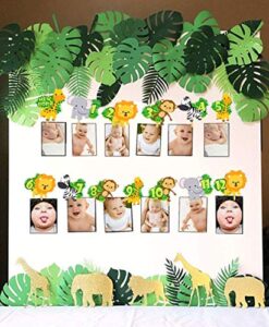 laventy jungle gold monthly photo banner wild one monthly photo banner safari first birthday banner monthly photo banner zoo jungle banner