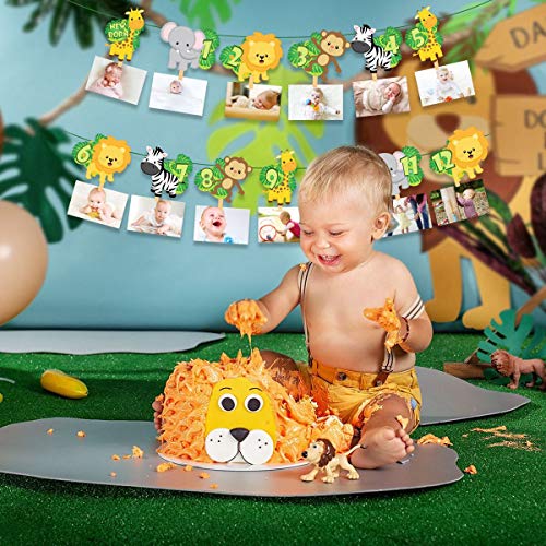 LaVenty Jungle Gold Monthly Photo Banner Wild One Monthly Photo Banner Safari First Birthday Banner Monthly Photo Banner Zoo Jungle Banner