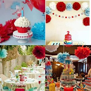 Qian's Party Dr. Seuss Cat in the Hat Birthday Party Decorations/Thing One and Thing Two Birthday Decorations/Dr Seuss Baby Shower Decorations Turquoise White Red HAPPY BIRTHDAY BANNER /