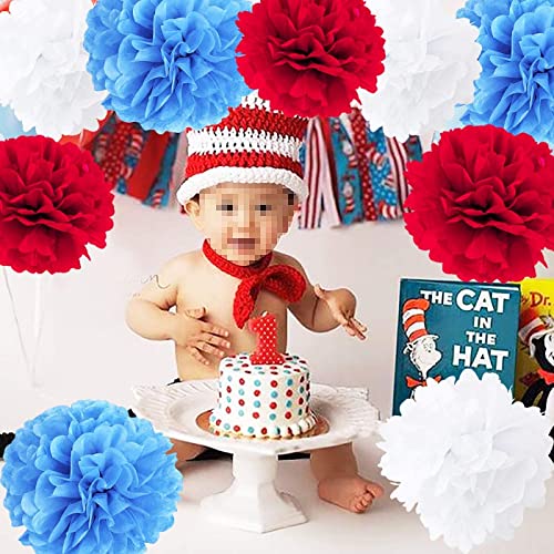 Qian's Party Dr. Seuss Cat in the Hat Birthday Party Decorations/Thing One and Thing Two Birthday Decorations/Dr Seuss Baby Shower Decorations Turquoise White Red HAPPY BIRTHDAY BANNER /