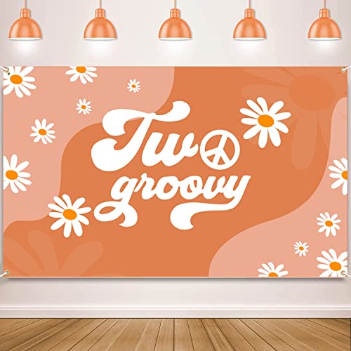 DARUNAXY Two Groovy Retro Hippie Boho Banner, 2nd Birthday Party Decoration 2 Year Old Birthday Party Supplies, Daisy Flower Groovy Backdrop for Baby Girls Hippie Theme Birthday Photography Background