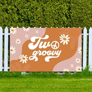 DARUNAXY Two Groovy Retro Hippie Boho Banner, 2nd Birthday Party Decoration 2 Year Old Birthday Party Supplies, Daisy Flower Groovy Backdrop for Baby Girls Hippie Theme Birthday Photography Background