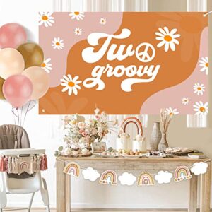 DARUNAXY Two Groovy Retro Hippie Boho Banner, 2nd Birthday Party Decoration 2 Year Old Birthday Party Supplies, Daisy Flower Groovy Backdrop for Baby Girls Hippie Theme Birthday Photography Background