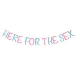 glitter here for the sex banner gender reveal party baby shower paper garland – pink or blue