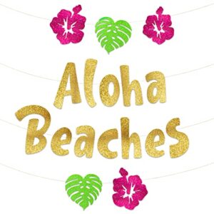 aloha beach luau themed glitter banner – hawaii – aloha -tropical – tiki – summer themed beach and pool party decoration, favors & supplies