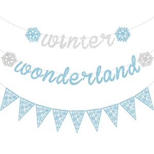gersoniel 3 pieces snowflake winter wonderland banner snowflake paper garland snowflake hanging banner silver glittery snowflake decorations for snow christmas wedding birthday party (blue, silver)