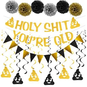 holy shit you’re old banner decorations kit – 20pcs – gold funny adult birthday party decor sign for 30th-40th-50h-60th-70th-80th-90th birthday – including holy shit you’re old banner, triangle flag, 12pcs swirl, 6pcs poms