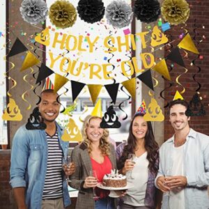 Holy Shit You're Old Banner Decorations Kit - 20Pcs - Gold Funny Adult Birthday Party Decor Sign for 30th-40th-50h-60th-70th-80th-90th Birthday - Including Holy Shit You're Old Banner, Triangle Flag, 12Pcs Swirl, 6Pcs Poms