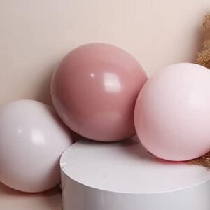 Blush Dusty Pink Balloon Garland Matte Latex Nude Pink Balloons Double-Stuffed Retro Pink Balloon Arch Kit For Party Wedding Baby Shower Graduation Birthday Decoration