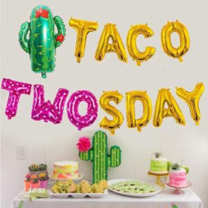 girl taco twosday birthday party decorations, taco twosday balloons cactus fiesta themed banner for taco 2sday birthday taco 2nd birthday party supplies 14pcs kit of qinsly (pink, taco 2sday)