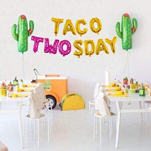 Girl Taco Twosday Birthday Party Decorations, Taco Twosday Balloons Cactus Fiesta Themed Banner for Taco 2sday Birthday Taco 2nd Birthday Party Supplies 14PCS Kit of Qinsly (Pink, Taco 2sDay)