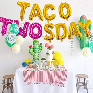 Girl Taco Twosday Birthday Party Decorations, Taco Twosday Balloons Cactus Fiesta Themed Banner for Taco 2sday Birthday Taco 2nd Birthday Party Supplies 14PCS Kit of Qinsly (Pink, Taco 2sDay)