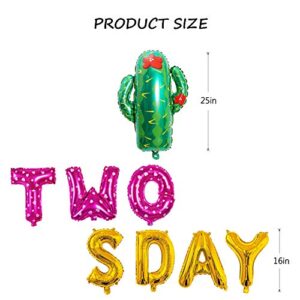 Girl Taco Twosday Birthday Party Decorations, Taco Twosday Balloons Cactus Fiesta Themed Banner for Taco 2sday Birthday Taco 2nd Birthday Party Supplies 14PCS Kit of Qinsly (Pink, Taco 2sDay)