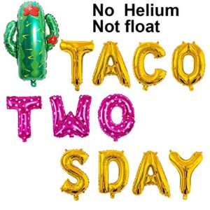 Girl Taco Twosday Birthday Party Decorations, Taco Twosday Balloons Cactus Fiesta Themed Banner for Taco 2sday Birthday Taco 2nd Birthday Party Supplies 14PCS Kit of Qinsly (Pink, Taco 2sDay)