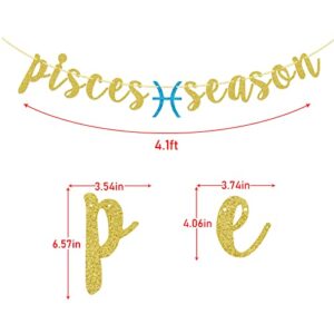 Pisces Season Birthday Banner Zodiac Birthday Party Decorations February March Astrology Sign Gold Glitter String Decor