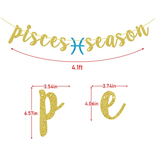 Pisces Season Birthday Banner Zodiac Birthday Party Decorations February March Astrology Sign Gold Glitter String Decor