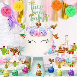 Ayamuba Taco Bout a Baby Decoration,Mexican Birthday Party Decoration with Fiesta Paper Fans, Taco Bout a Baby Banner, Cactus Balloons for Fiesta Baby Shower Decoration, Wedding Décor