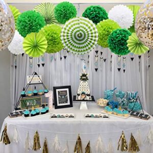 Green Hanging Paper Party Decorations, Round Paper Fans Set Paper Pom Poms Flowers for Birthday Wedding Graduation Baby Shower Events Accessories