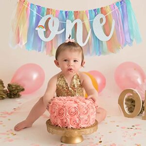 BEISHIDA 1st Birthday High Chair Banner Multicolor Rainbow Theme First Birthday Banner for One Birthday Highchair Garland Baby Shower Photo Booth Props Party Decorations(Dark Rainbow Highchair Banner)