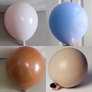 Brown And Blue Balloon Garland Kit Blue Nude Coffee Brown Apricot Double Stuffed Latex Balloons For Teddy Bear Baby Shower Jungle Safari Theme Party Gender Reveal Birthday Party Decorations