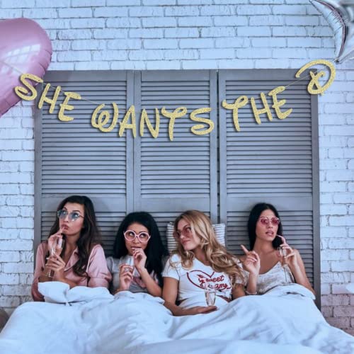 Party101 She Wants the D Banner - Disney Bachelorette Party Decorations Naughty - Bachelorette Party Favors & Supplies - Ladies Girls Night Decorations for Adults - Divorce Party Decorations for Women