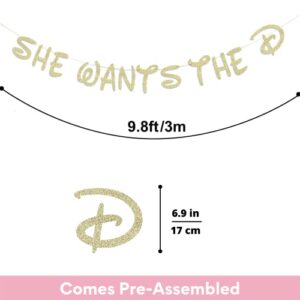 Party101 She Wants the D Banner - Disney Bachelorette Party Decorations Naughty - Bachelorette Party Favors & Supplies - Ladies Girls Night Decorations for Adults - Divorce Party Decorations for Women