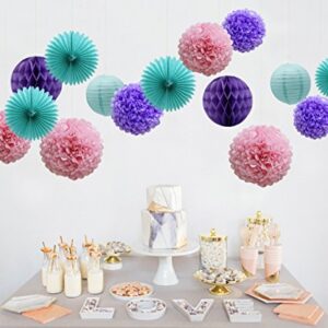 Teal Lavender Purple Pink Party Decorations 16pcs Paper Pom Poms Honeycomb Balls Blue Lanterns Tissue Fans for Wedding Birthday Baby Shower Frozen Party Supplies