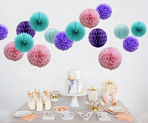 Teal Lavender Purple Pink Party Decorations 16pcs Paper Pom Poms Honeycomb Balls Blue Lanterns Tissue Fans for Wedding Birthday Baby Shower Frozen Party Supplies