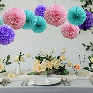 Teal Lavender Purple Pink Party Decorations 16pcs Paper Pom Poms Honeycomb Balls Blue Lanterns Tissue Fans for Wedding Birthday Baby Shower Frozen Party Supplies