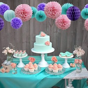 Teal Lavender Purple Pink Party Decorations 16pcs Paper Pom Poms Honeycomb Balls Blue Lanterns Tissue Fans for Wedding Birthday Baby Shower Frozen Party Supplies