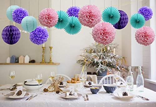 Teal Lavender Purple Pink Party Decorations 16pcs Paper Pom Poms Honeycomb Balls Blue Lanterns Tissue Fans for Wedding Birthday Baby Shower Frozen Party Supplies