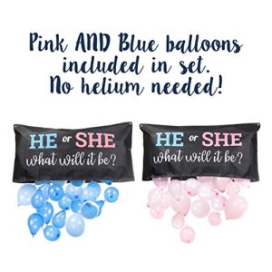 Pop Fizz Designs | Gender Reveal Balloon Drop Bag | He or She, What Will it Be?