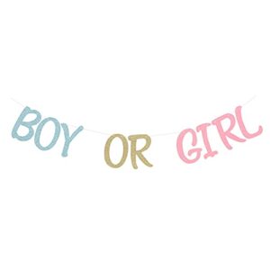 glittery boy or girl banner for gender reveal party decorations photo prop baby shower backdrop