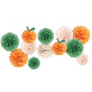nicrohome little cutie baby shower decorations, 12 pcs light orange green tissue paper pom poms for party decorations, birthday, spring summer party, fruit themed parties