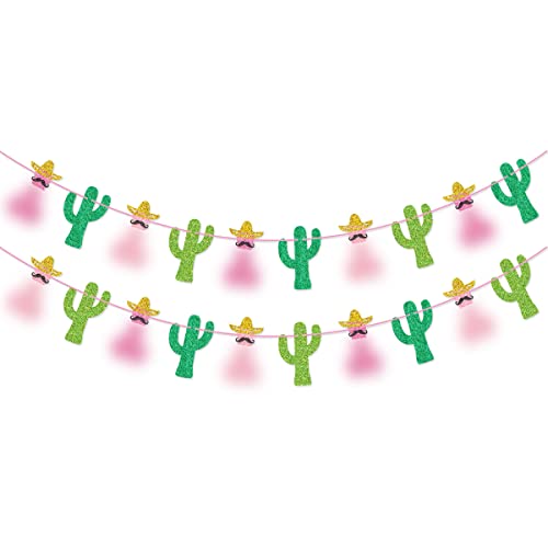 Pink Final Fiesta Banner Garland Cactus Banner for Mexican Fiesta Bachelorette Party Decorations