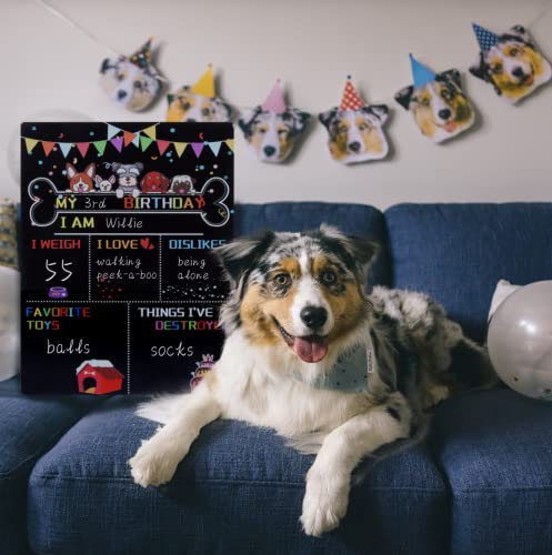 Reusable Dog Birthday Party Supplies, Double Sided Chalkboard for Dog Girl First Birthday, Dog Birthday Backdrop Props, Gift for Cat Party Decorations, Size 10"*12"
