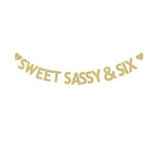 sweet sassy & six gold gliter paper banner, boys/girls 6th birthday party decors 6 years old bday backdrops
