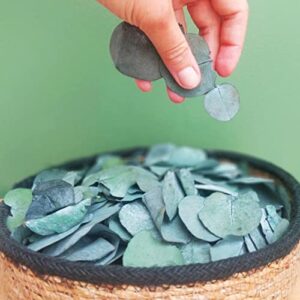 1600+ small preserved real eucalyptus leaves, 100% natural bulk eucalyptus, biodegradable wedding leaves confetti for anniversaries, birthday, graduation, bridal showers, baby shower party decor