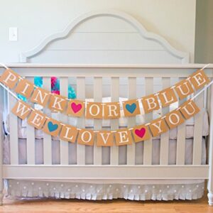 Gender Reveal Party Baby Shower Decorations - "Pink or Blue" Banner by Sterling James Co. - Pregnancy Announcement