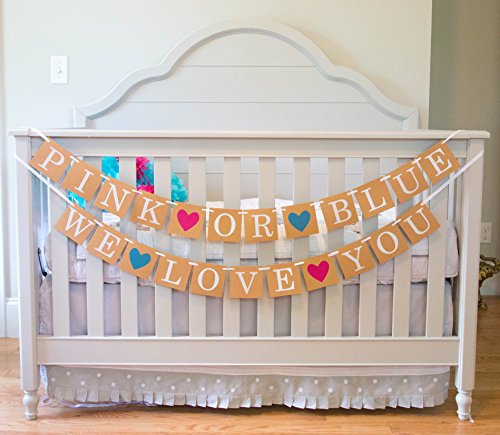 Gender Reveal Party Baby Shower Decorations - "Pink or Blue" Banner by Sterling James Co. - Pregnancy Announcement