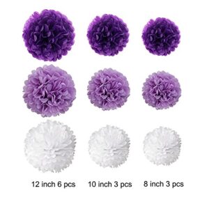 Wartoon Tissue Paper Pom Poms Flowers for Wedding Birthday Party Baby Shower Decoration, 12 Pieces (Purple, Lavender and White)