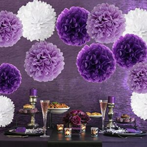 Wartoon Tissue Paper Pom Poms Flowers for Wedding Birthday Party Baby Shower Decoration, 12 Pieces (Purple, Lavender and White)