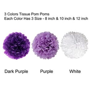 Wartoon Tissue Paper Pom Poms Flowers for Wedding Birthday Party Baby Shower Decoration, 12 Pieces (Purple, Lavender and White)