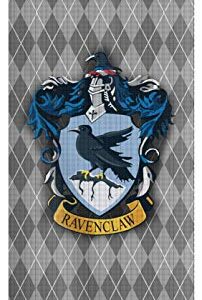 Magical Wizard Style Banner - 43in x 16in Wall Scroll - Boys Girls Birthday Party Flag - Ready to Hang - Perfect Barware Man Cave Gift - Unique HP Collectible Accessories Holiday Decoration Gifts (4 Blue)