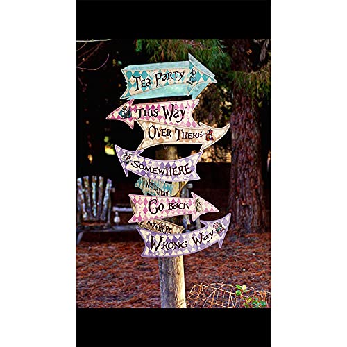 Hille Decor Directional Sign for Alice Arrow Signs Direction Indicator Cardboard Party Decorations