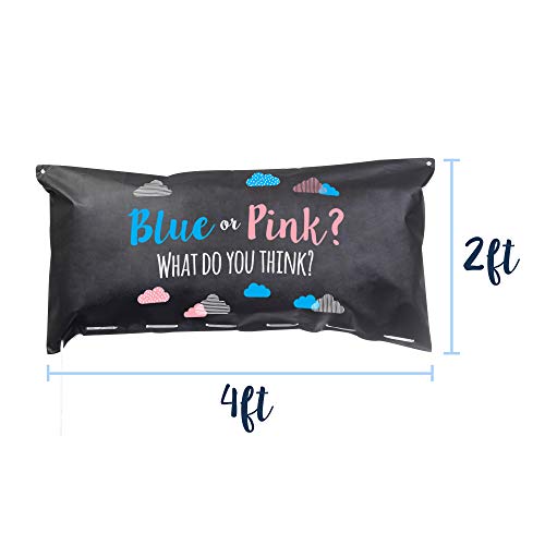 Pop Fizz Designs | Gender Reveal Balloon Drop Bag | Blue or Pink?