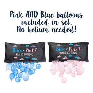 Pop Fizz Designs | Gender Reveal Balloon Drop Bag | Blue or Pink?