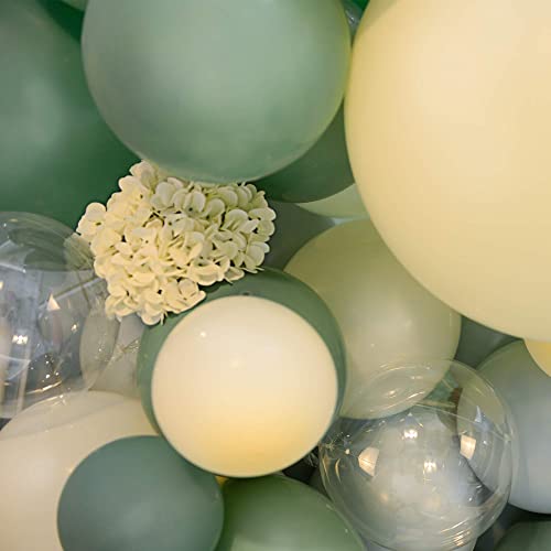 Balloon Garland Kit Double Stuffed Cream Sage Green Balloons Garland Arch Kit for Wedding Baby Shower Birthday Graduation Anniversary Party 5in 10in 20in 24in Balloons Kit Decorations