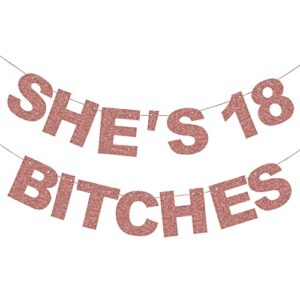 pre-strung she’s 18 bitches banner funny girl 18th birthday decorations for her girls rose gold glitter happy 18th birthday supplies banner theme party sign